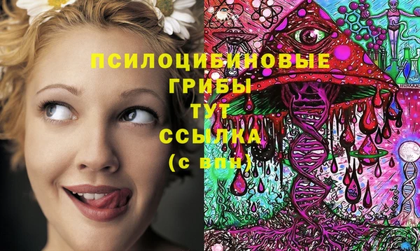 прущая мука Алзамай