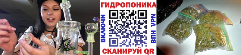 Каннабис планчик  дарнет шоп  Чадан 
